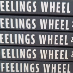 Feelings Wheel 2.0 5-Pack (50% off each book!)