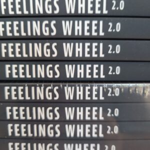 Feelings Wheel 2.0 Education 10-pack (60% off per book!)